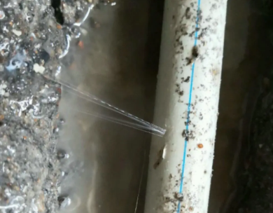 山东测漏水哪家好